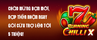 Hoàn Trả VIP Hàng Ngày Không Giới Hạn promotion banner